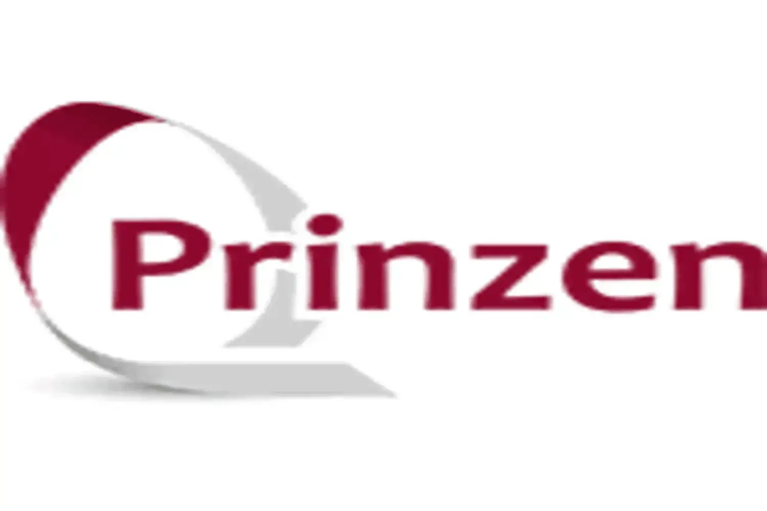 Prinzen logo