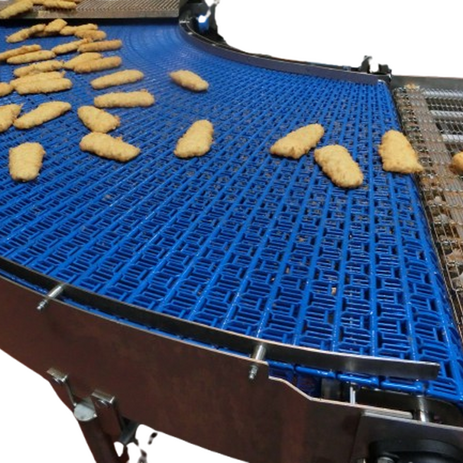 CIMG1395 removebg preview